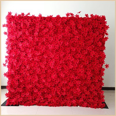 Çiçek Duvarı Etkinlikleri