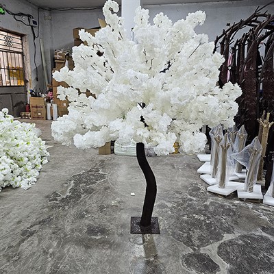 İpek Kiraz Çiçeği Ağacı